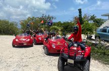 Love Buggy Island Tour with Lunch