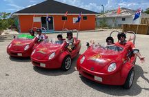 Love Buggy Island Tour with Lunch