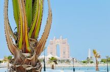 Full Day Private Tour in the UAE Capital