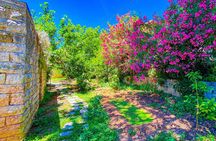 Private Full-Day Tour to Beiteddine, Deir El Qamar and Barouk Cedars from Beirut