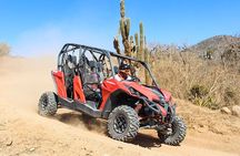 Side by Side Adventure in Los Cabos