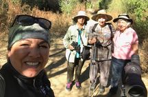 Birding San Jose Estuary Los Cabos Mexico 