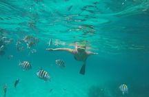 Private Snorkeling or Fishing in Nassau - 38ft Freestyle