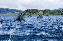 6-Day Osa Jungle Adventure Tour in Osa, Drake and Corcovado
