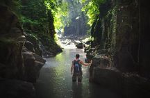 6-Day Osa Jungle Adventure Tour in Osa, Drake and Corcovado