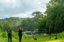 Corcovado and Drake Bay 2-Day Small-Group Safari Guided Tour