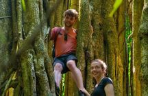4-Days family tour with visit to Cano island and Corcovado 