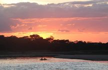 4 Days El Guaviare - Rock Paintings & Amazon Jungle