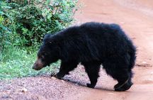 Yala National Park Private Safari