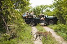 All inclusive BIG 5 Kruger 2 Day Safari from Johannesburg