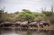 All inclusive BIG 5 Kruger 2 Day Safari from Johannesburg