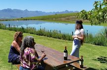 Stellenbosch Winelands Experience