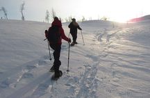 Snowshoeing - Winter Day Trip in Bodo, Northern Norway