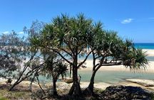 North Stradbroke Island WILDLIFE Adventure Tour from Brisbane