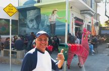 5h City Tour (pick up & delivery within SaoPaulo city)