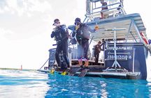 Open Water Diver course (PADI)