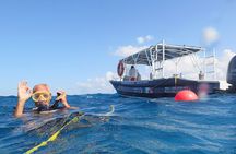 Open Water Diver course (PADI)