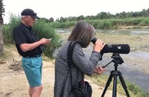 Birding San Jose Estuary Los Cabos Mexico 