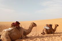  Lompoul desert