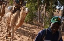  Lompoul desert