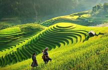 Sapa Trekking 2Day - 1 Night By Sleeper Bus