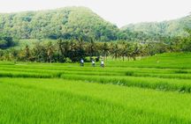 Menoreh Village Cycling - Nanggulan