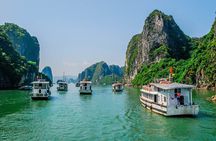 7-Day Vietnam Private Tour to Hanoi, Ho Chi Minh City, and Cruise on Halong Bay