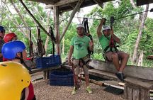 Rain Forest Canopy Tour from Tamarindo: Zipline, Hanging Bridge