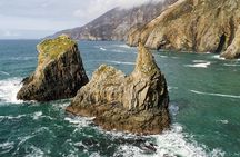 Slieve League cliffs cruise. Donegal. Guided. 1 ¾ hours.