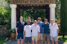 Côtes de Provence Small Group Day Trip with Winery Visits & Tastings from Nice
