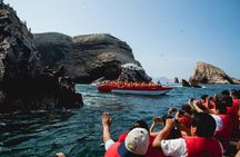 Ballestas Islands & National Reserve of Paracas from Ica