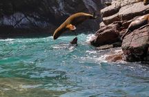 Ballestas Islands & National Reserve of Paracas from Ica