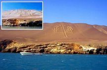 Ballestas Islands & National Reserve of Paracas from Ica