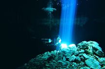 Mini Cenotes Dive Excursion from Playa del Carmen