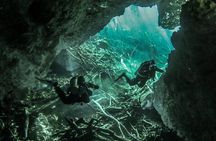 Mini Cenotes Dive Excursion from Playa del Carmen