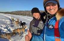 Dog Sledding Adventure in Willow, Alaska