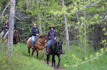 Buffalo Loop 1-Hour Horseback Trail Ride in Kananaskis