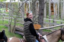Buffalo Loop 1-Hour Horseback Trail Ride in Kananaskis