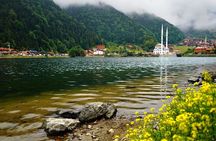 Full-Day Private Tour to Uzungöl from Trabzon