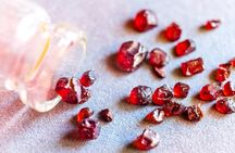 Czech garnet panning with animal farm, lunch 4WD trip from Prague