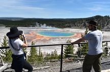 PRIVATE Yellowstone Tour 4 or more people- Picnic, Binoculars, Spotting Scope
