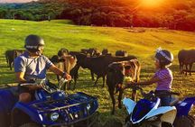 Kuranda Half Day Including Quad Bike Experience and Petting Zoo