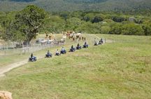 Kuranda Half Day Including Quad Bike Experience and Petting Zoo