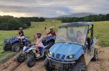 Kuranda Half Day Including Quad Bike Experience and Petting Zoo