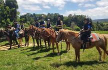 Horse and Quad bike tour with a visit to a Petting Zoo