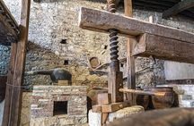 Winery Marathon Full Day Tour in Cyprus