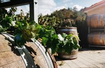 Winery Marathon Full Day Tour in Cyprus