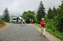 Full-Day Private Tour to Ayder Plateau from Trabzon