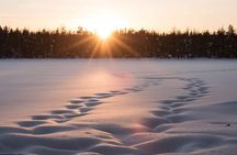 Private Lappish evening in the wilderness with traditional sauna and dinner