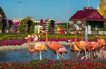 Memorable Evening at Dubai Global Village with Dubai Miracle Garden Visit !!